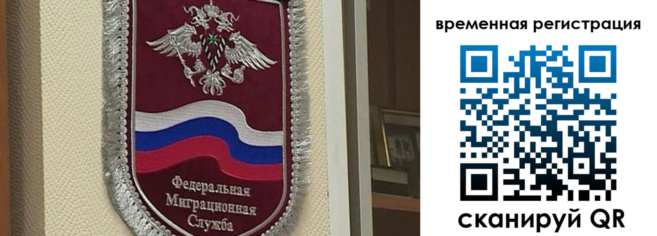 прописка законно в Заринске
